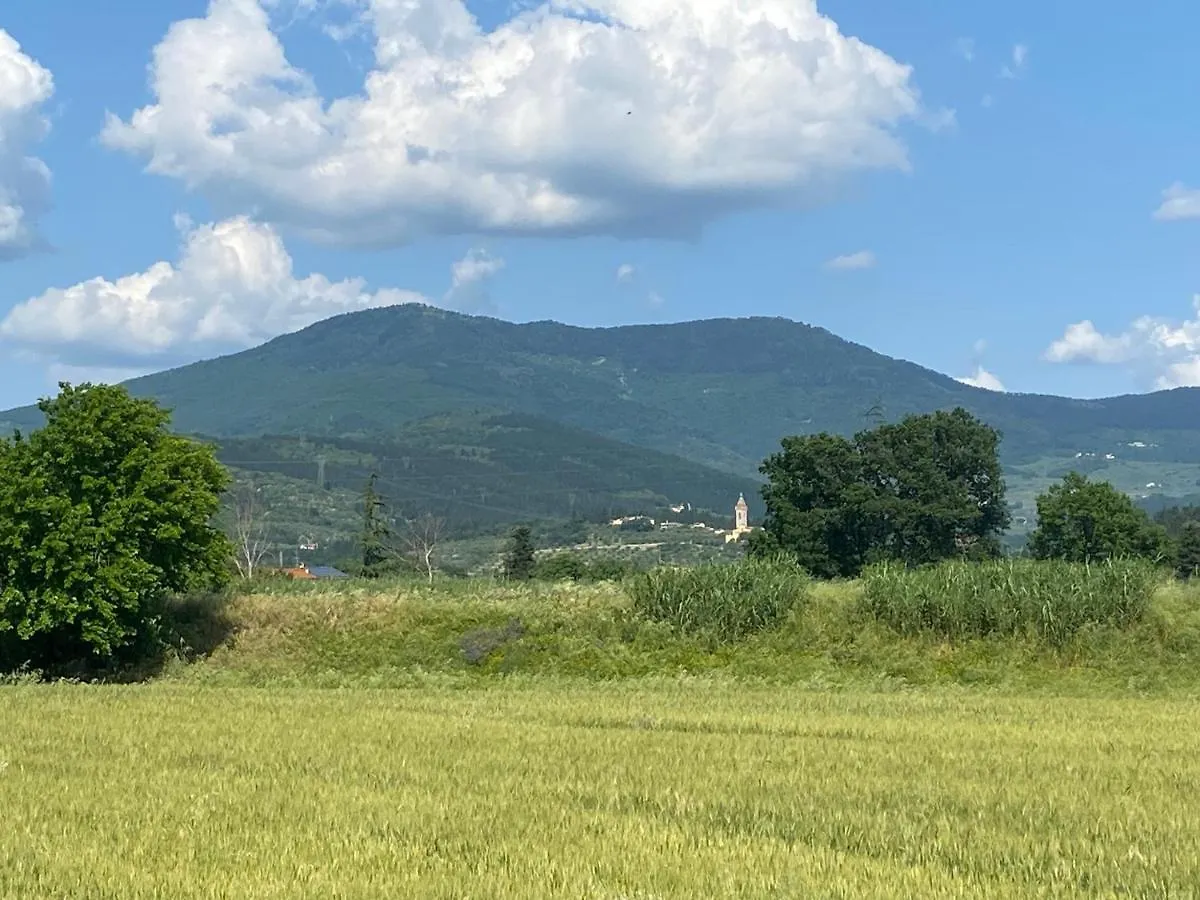 公寓 Accanto A Firenze 普拉托